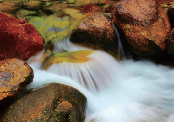 PA�콢����(�й�)�ٷ���վ