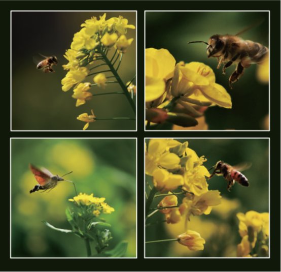 PA�콢����(�й�)�ٷ���վ